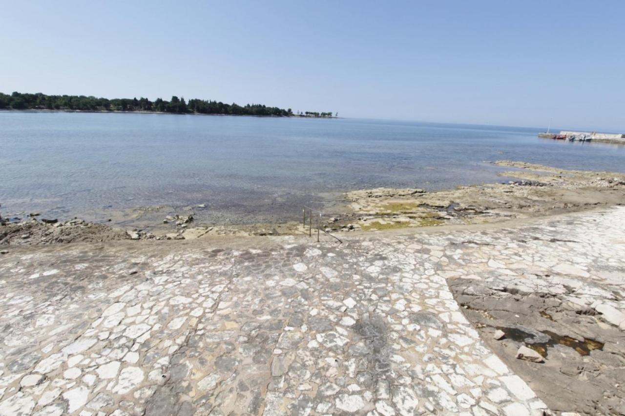 Istrian Villa With Unique Sea View Lovrečica Kültér fotó