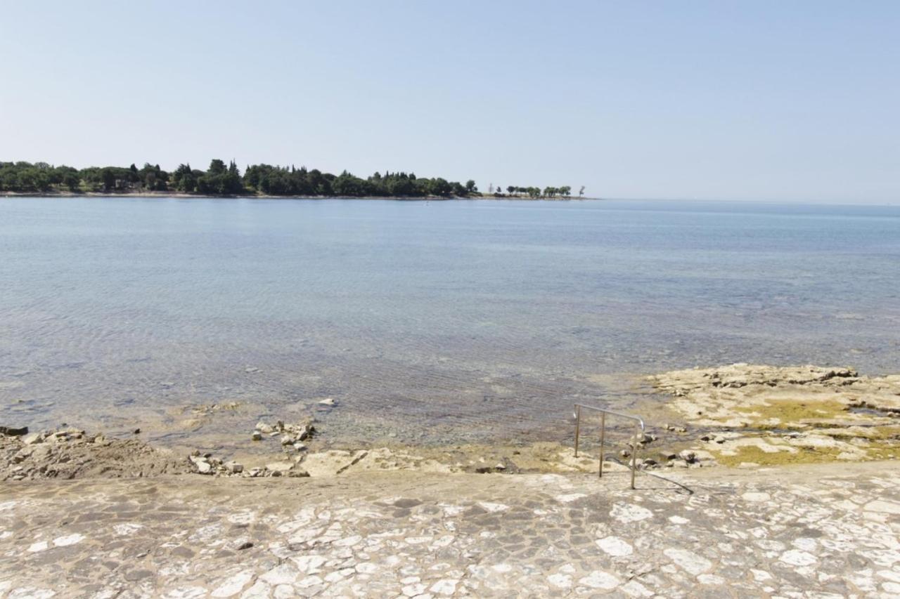 Istrian Villa With Unique Sea View Lovrečica Kültér fotó